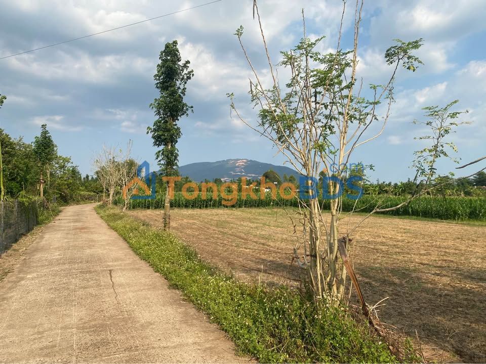 Đất nền Xuân Lộc, Đồng Nai 142m² - Sổ riêng, view núi Chứa Chan