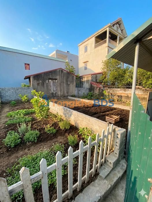 Nhà 41m² Chương Dương, Thường Tín - Ô tô vào tận nhà, Sổ đỏ chính chủ