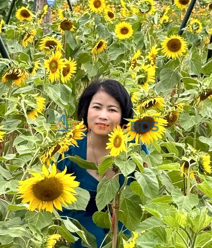 Nhà Phố Nguyễn Tri Phương, Ba Đình 22m² - 4 Tầng, Sổ Đỏ Vuông Vắn