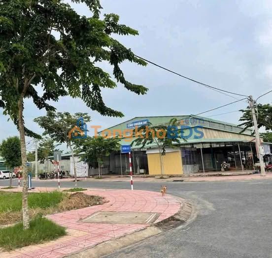 Bán Nền 98.8m² Sổ Hồng Thổ Cư, TX Bình Minh, Vĩnh Long