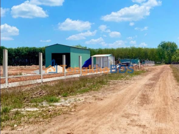 Bán Gấp Đất Vườn 1296m² Phú Giáo, Bình Dương - Chỉ 1.8 Tỷ