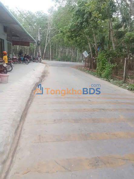 Đất Vàng Phước Vĩnh, Phú Giáo - 450m² Thổ Cư, Sổ Hồng Sẵn Sàng