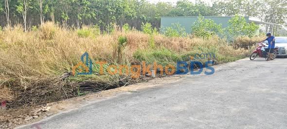 Đất nền Tân Uyên, Bình Dương - 4500m² giá 665 triệu, đầu tư sinh lời