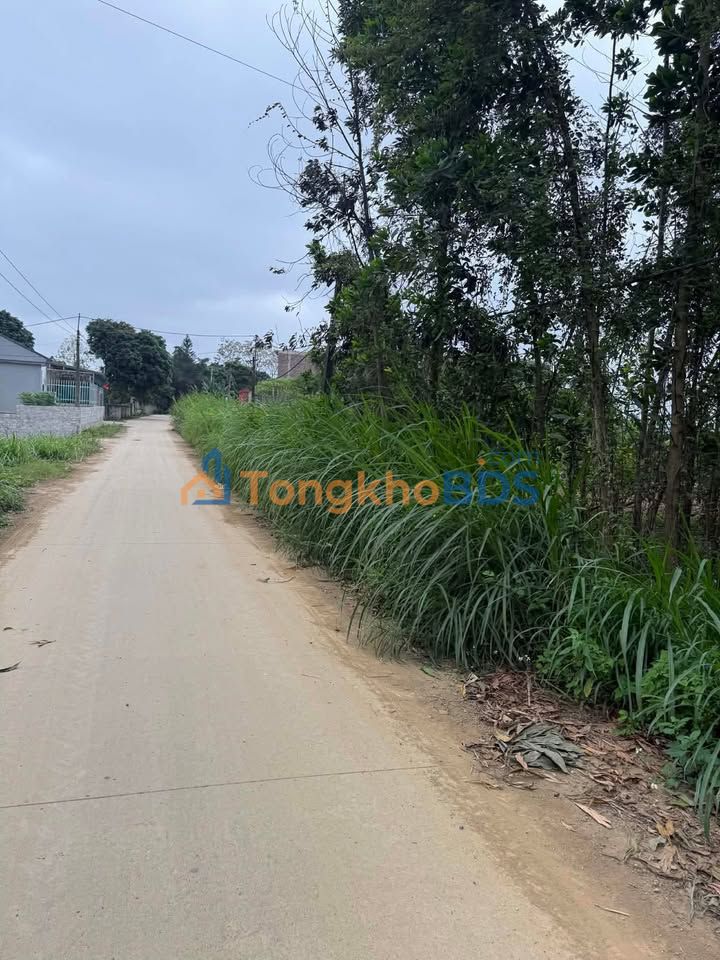 Đất Nền Thổ Cư Phú Long, Ninh Bình - 100m², Giá Dưới 1 Tỷ/Lô