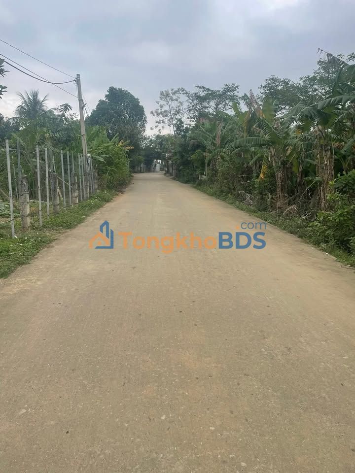 Đất thổ cư Nho Quan, Ninh Bình 115m² - Ô tô vào tận đất, giá đầu tư