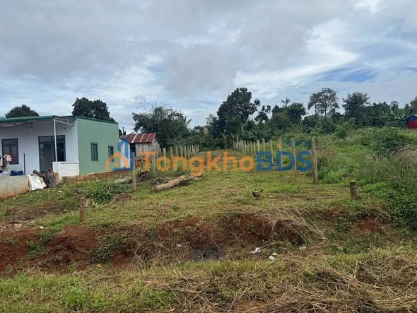 Bán Đất Mặt Tiền Đường Mạc Đăng Đứng Đạt Hiếu, Buôn Hồ - 288m² Giá 879 Triệu