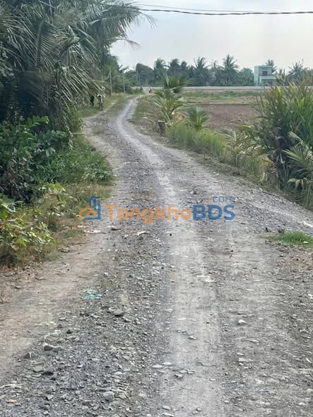 Đất nền Tân Bửu Bến Lức 450m² giá 3,5 tỷ - Sổ đỏ chính chủ