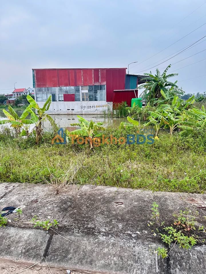 Đất nền Quảng Ngọc 170m² - Đầu tư sinh lời, An cư tuyệt vời