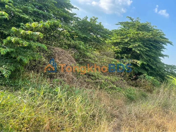 Bán Đất Mặt Tiền TL846, Bình Tân, 960m² - Kinh Doanh/Đầu Tư Sinh Lời