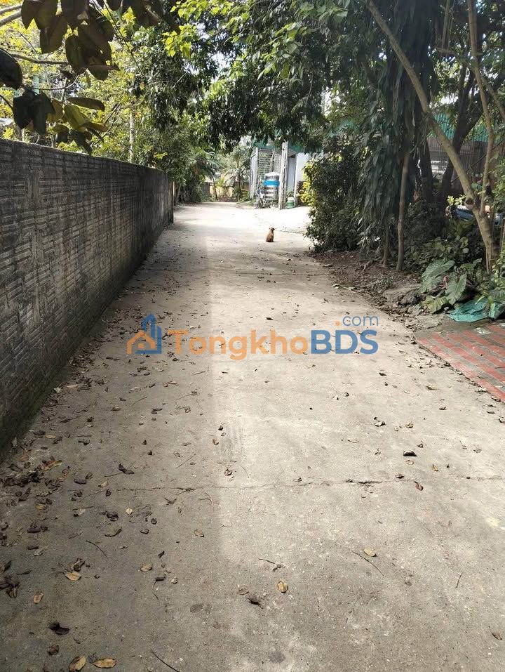 Bán Đất Nền TP Tuyên Quang 336m² - Gần Đại Học Tân Trào, Sẵn Sổ Hồng