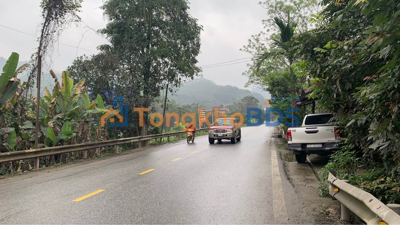 Bán Đất Nông Tiến Tuyên Quang 194m² - Sổ Đỏ Sẵn Sàng