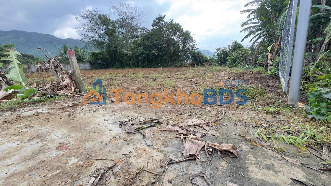 Đất Vườn Hòa Bắc Đà Nẵng 1013.5m² - Sẵn Sàng Xây Nhà Nghỉ Dưỡng