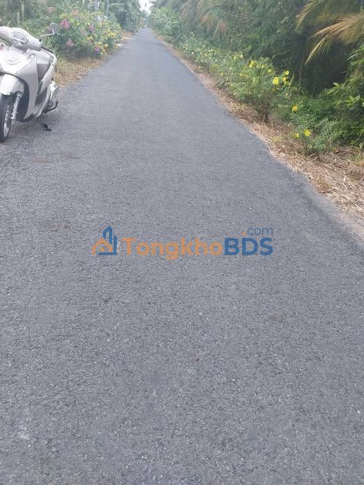 Đất vườn Chánh An 1.008m² giá 1,35 tỷ - Sổ hồng rõ ràng