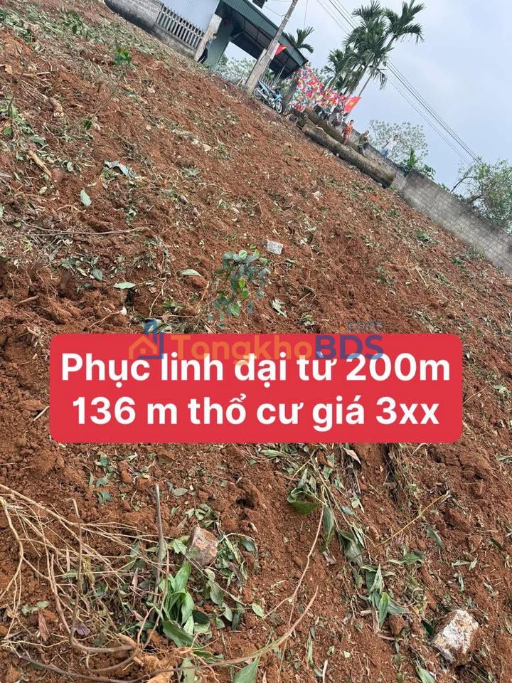 Đất Phục Linh Đại Từ 200m² 3xx triệu - Xây dựng tự do