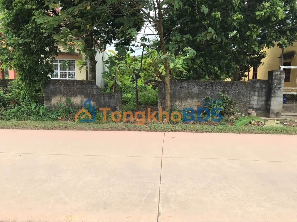 Bán đất Đồng Liên, Thái Nguyên 278.4m² - Sổ đỏ sẵn sàng