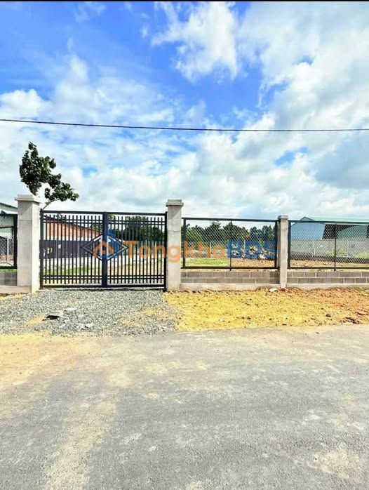 Đất Vàng Phường Phú Mỹ, Bà Rịa - Vũng Tàu 1600m² - Sổ Riêng, Giá Tốt