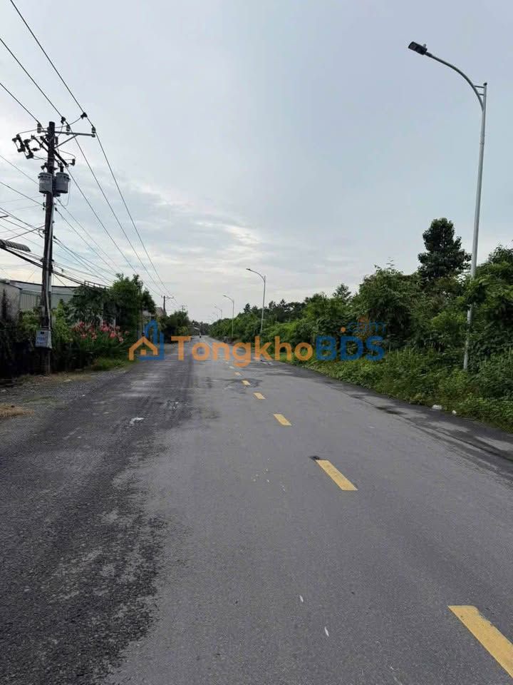 Đất Mỹ Hạnh Trung, Cai Lậy 650m² 3,25 tỷ - Sổ đỏ chính chủ