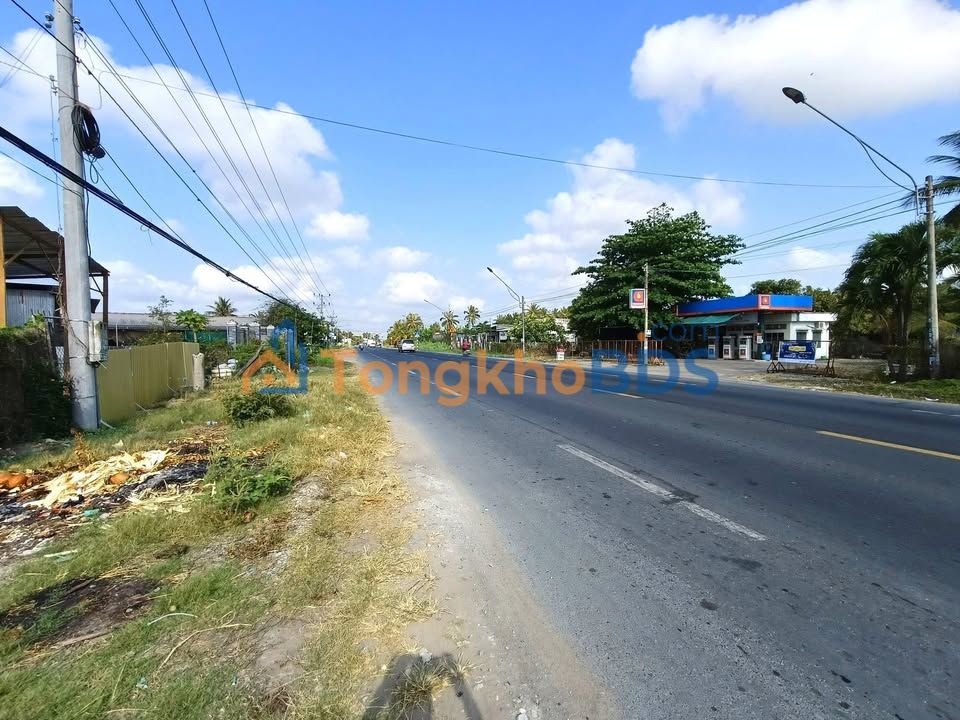 Bán Đất Vườn 499m² MT Quốc Lộ 50 Gò Công Tây - Sẵn Sổ, Giá 3.3 Tỷ