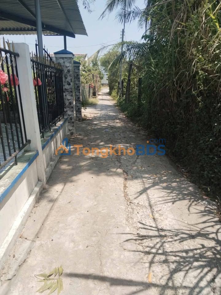 Đất nền Tân Thành Gò Công Đông 340m2 700 triệu - Sổ đỏ chính chủ