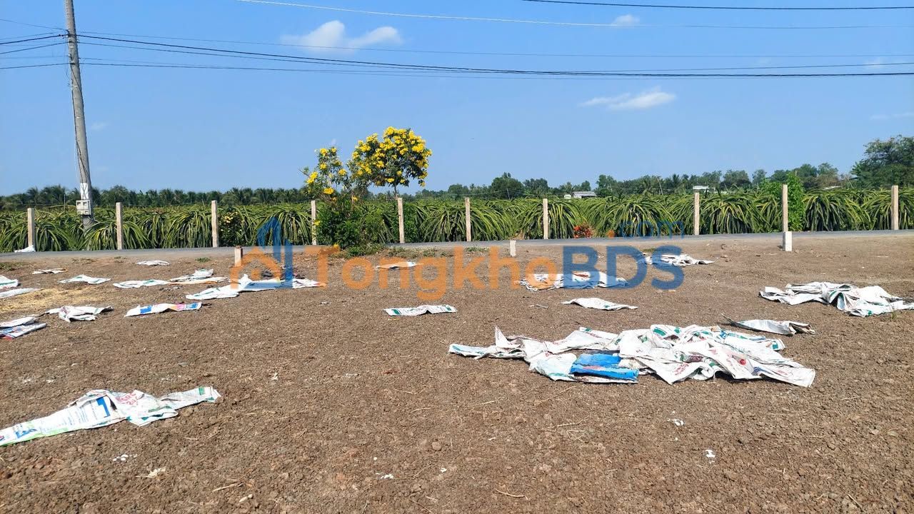 Bán Đất F0 Lấp Vò, Đồng Tháp - 214m² Giá Tốt, Sổ Riêng