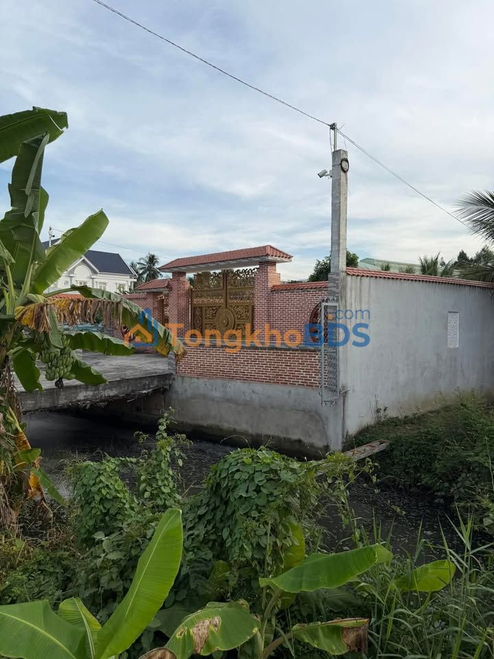 Đất 2 Mặt Tiền Nhựa Mỹ Tho - 2 Công Dừa Thu Hoạch - 6 Tỷ