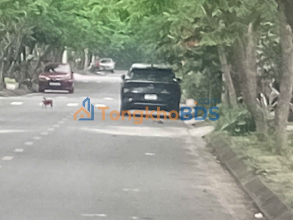 Đất nền 90m² mặt tiền 5m Ngõ Lê Thái Tổ, Nam Định - Sổ đỏ sẵn sàng giao dịch