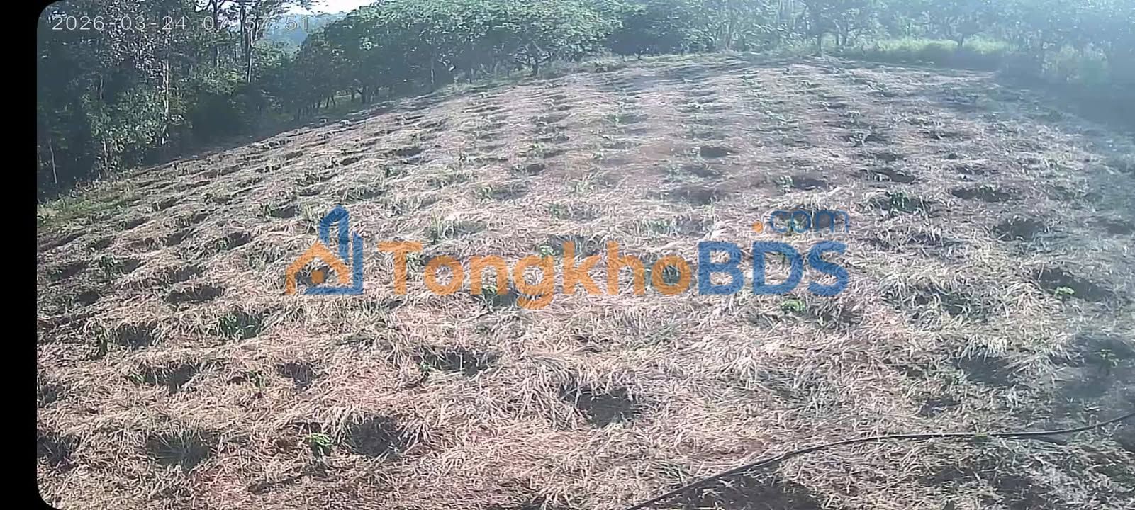 Bán Gấp 3ha Đất Nền View Đẹp Đức Trọng, Lâm Đồng - Giá 1.5 Tỷ