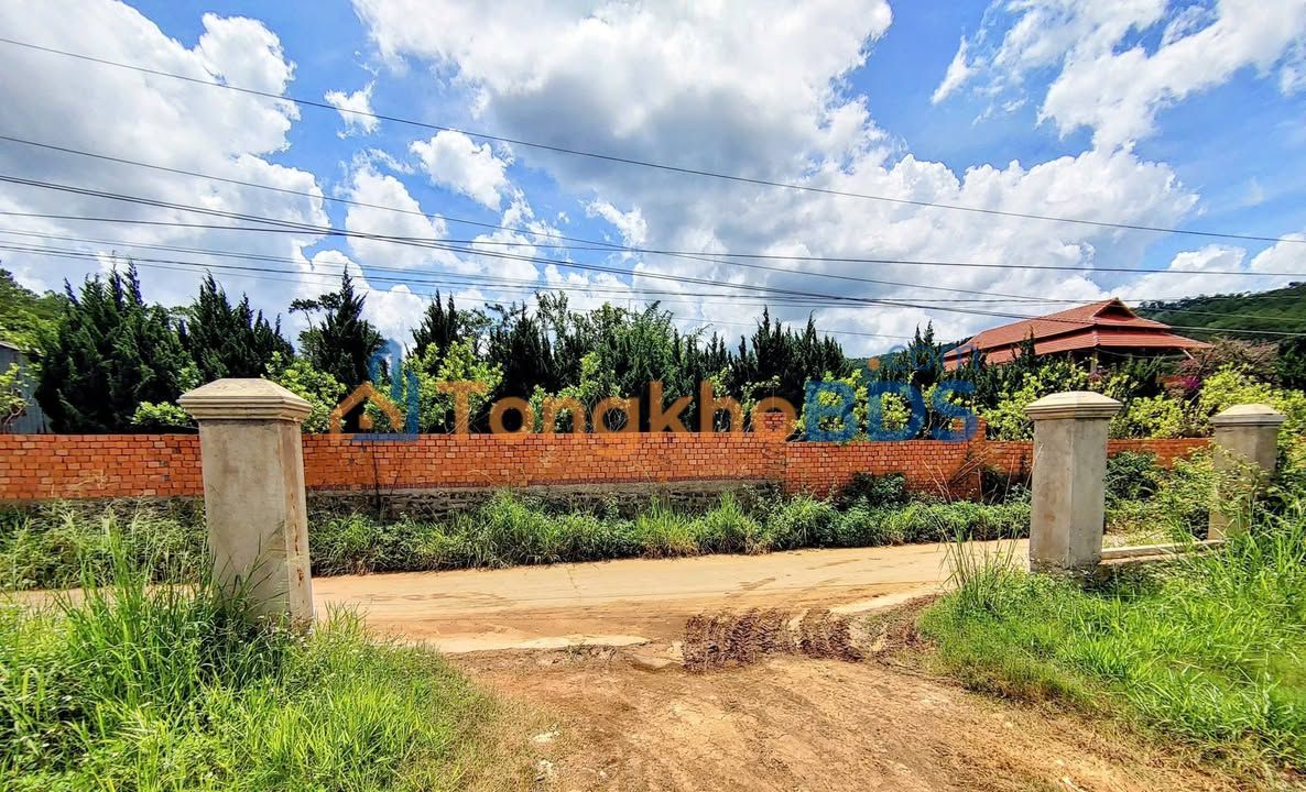 Đất Vàng Định An - 3600m² Thổ Cư, Sổ Đỏ Chính Chủ, Giá Đầu Tư