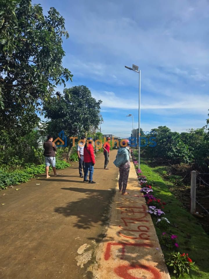 Đất Nền Đức Trọng 145m² Sổ Hồng Sẵn Sàng - 680 Triệu