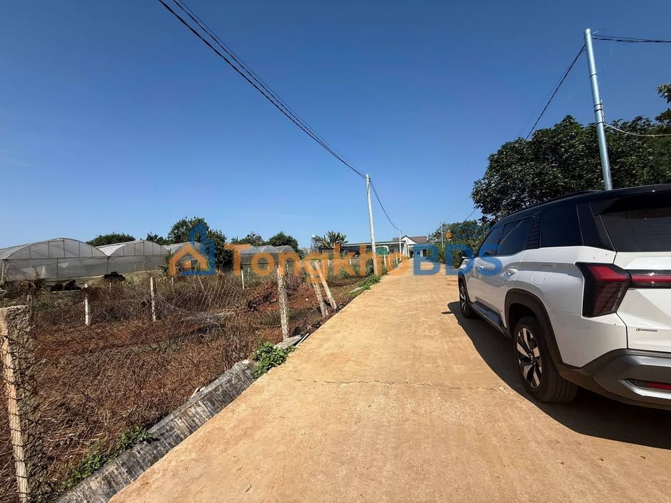 Nhà Mặt Tiền Đà Lạt 139m² - Kinh Doanh Sầm Uất Gần Chợ Thăng Long