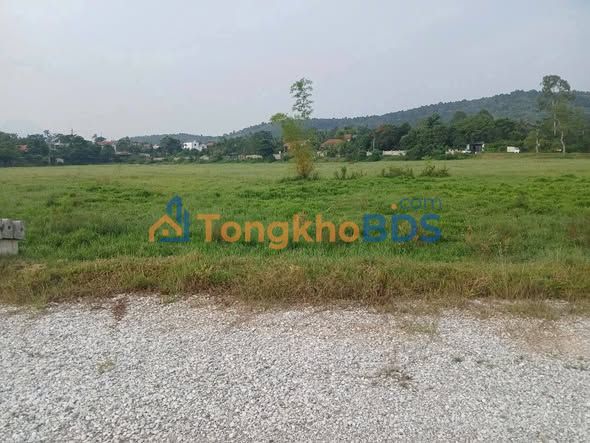 Bán đất ruộng 307m² mặt đường 36, Phường Xuân Hòa, Phúc Yên - Giá chỉ 2.x Tỷ