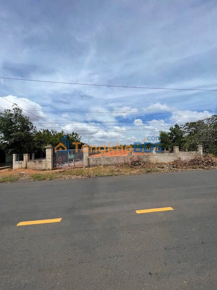 Đất nền Trần Bình Trọng Nối Dài 5000m² 2,5 triệu/m² - Sổ đỏ chính chủ