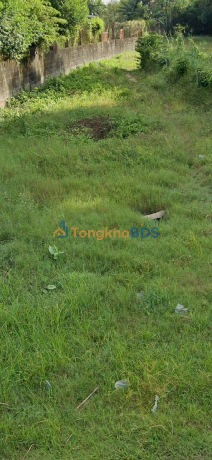 Nhà Mặt Tiền Trung An, Củ Chi - 300m² Giá 3.7 Tỷ, Kinh Doanh Sầm Uất