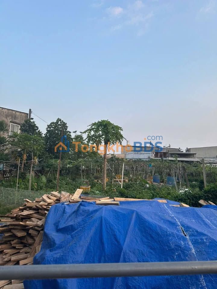 Đất nền Đông Thạnh Hóc Môn 322m² 8.6 tỷ - Sổ hồng sẵn