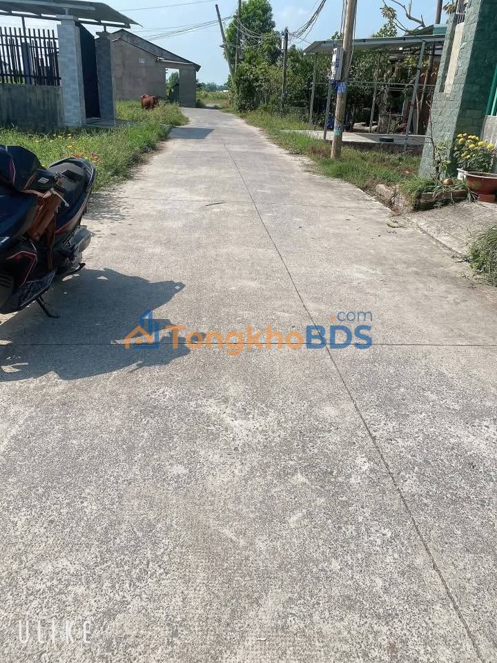 Đất Nền Mỹ Hạnh Bắc Đức Hòa 185m² - Mặt Tiền Đường 4m - Sổ Hồng Riêng - Giá 1.1 Tỷ