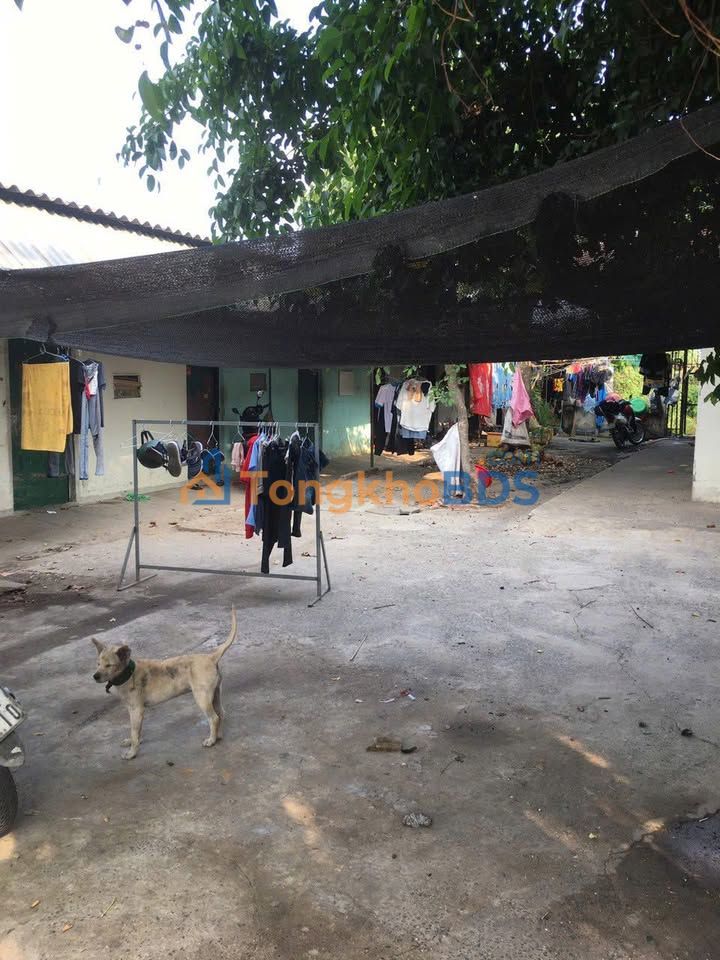 Bán Đất 1000m² Mặt Tiền Nguyễn Thị Bi, Củ Chi - Có Sẵn 15 Phòng Trọ