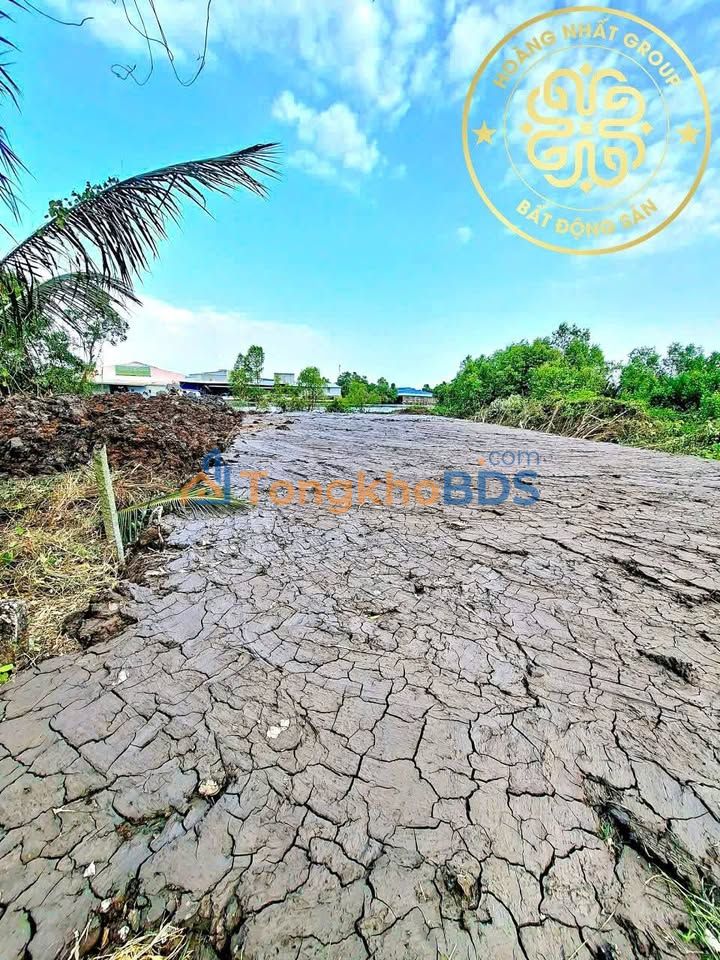 Bán Đất Xã Lý Văn Lâm, Cà Mau 214m² - 590 Triệu, Sổ Thổ Cư