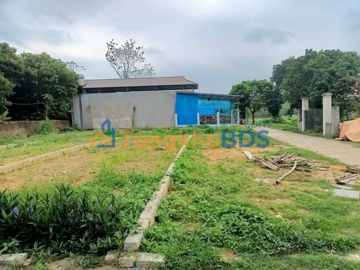 Đất Phường Trung Thành Phổ Yên 159m² dưới 2 tỷ - Đất thổ cư 100%