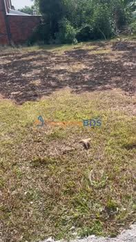 Đất nền Hòa Khánh Tây 100m² 550 triệu - Sổ đỏ chính chủ