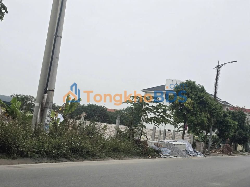 Đất Đấu Giá Trần Lựu, Bắc Ninh - 284m² Mặt Tiền 12m, Hướng Tây Nam