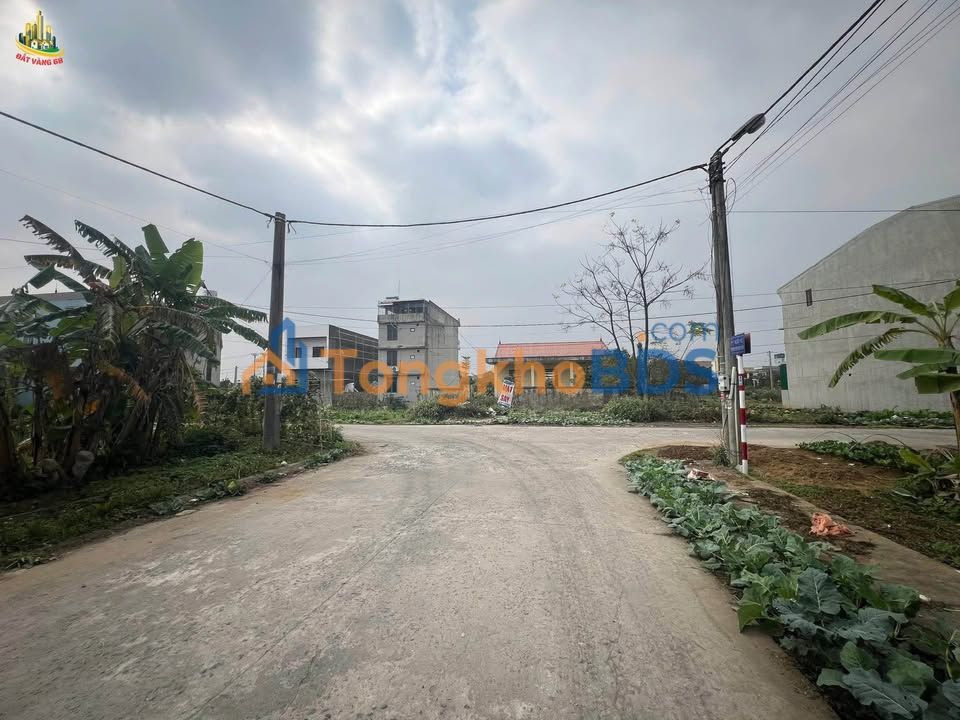 Đất nền Ấp Ve Hoa Lư 100m² 300 triệu - Pháp lý rõ ràng