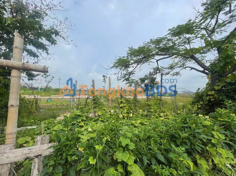 Đất Nền Hải Dương 106m² Sổ Đỏ - Gần QL5A, KCN Minh Đức