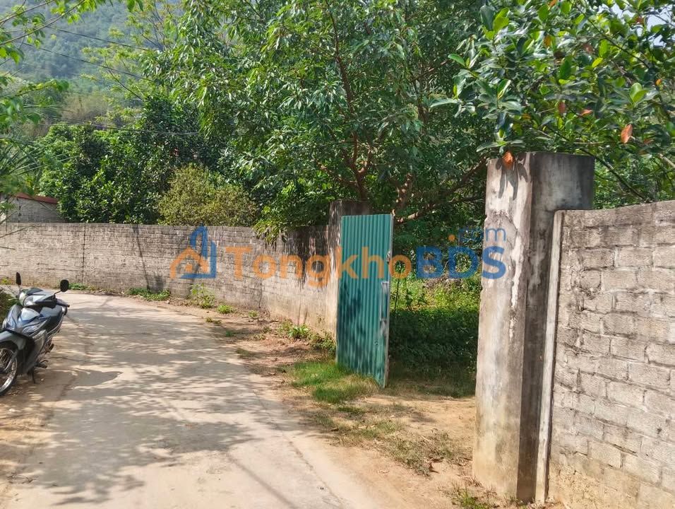 Đất Vườn 1500m² Hòa Bình - Lưng Tựa Suối, Giá Chỉ 3 Triệu/m²