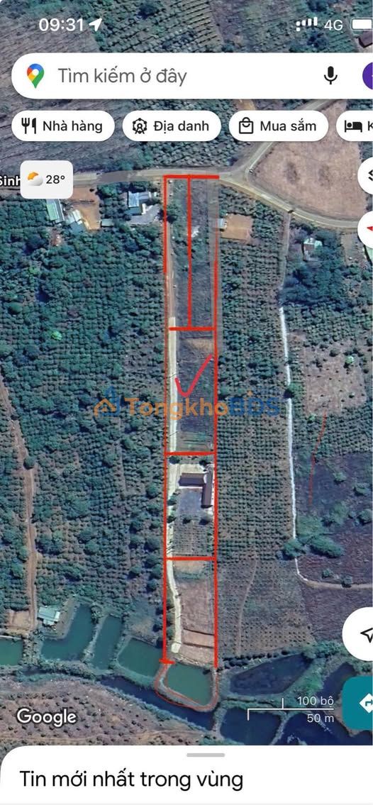 Farm Gia Nghĩa 1.296m2 giá 3,1 tỷ - Đường ô tô rộng