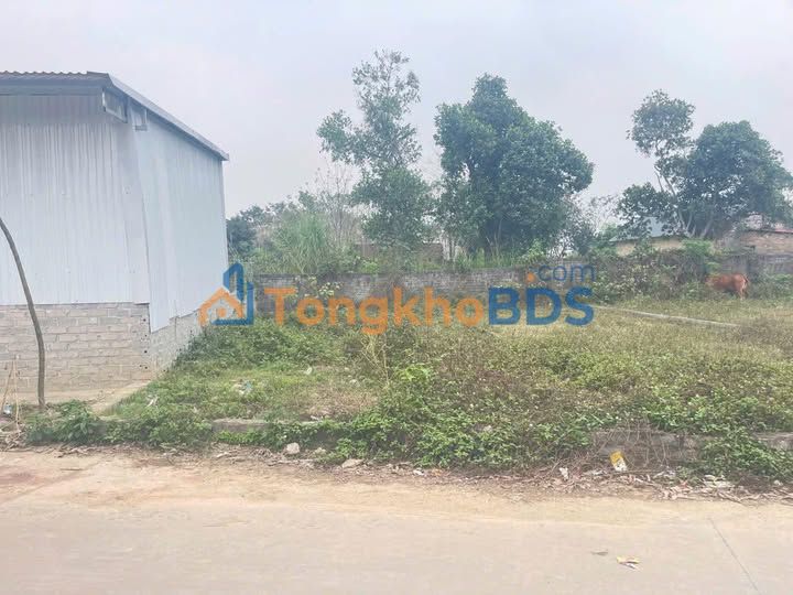 Đất nền Việt Hùng, Tiên Du, Bắc Ninh 126m² - Sổ đỏ sẵn sàng giao dịch