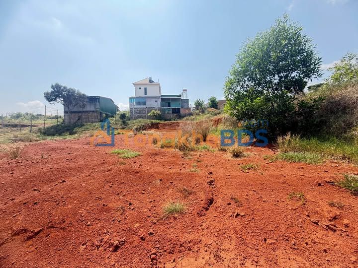 Đất Nền Tuy Đức Đắk Nông 217m² Giá 590 Triệu - Sổ Đỏ Full Thổ Cư