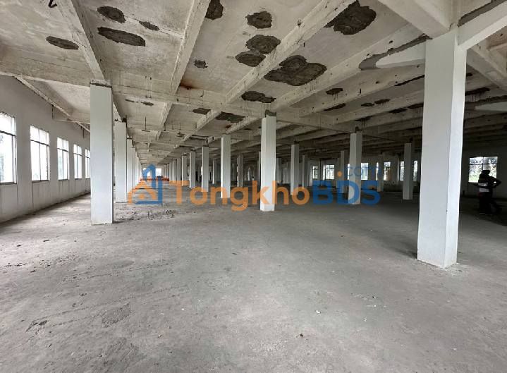 Cho thuê kho xưởng 10.000m² TPHCM - Vị trí đắc địa, giá tốt