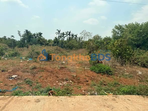 Đất nền Ea Bông, Krông Ana, Đắk Lắk - 125m² TC Full, Giá chỉ từ 2xx Triệu