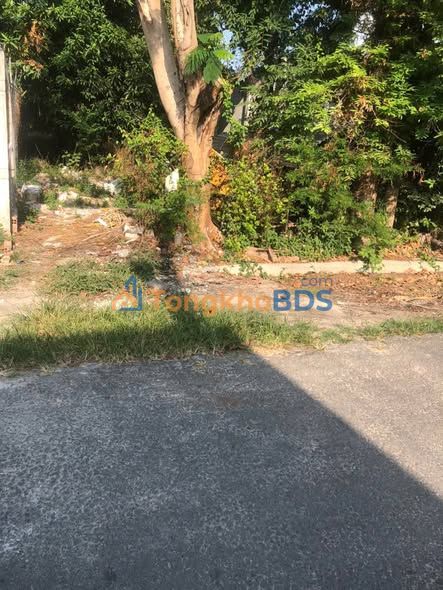 Đất Trần Phú Hòa Thành 250m² 32,5 tỷ - Hạ tầng hoàn thiện