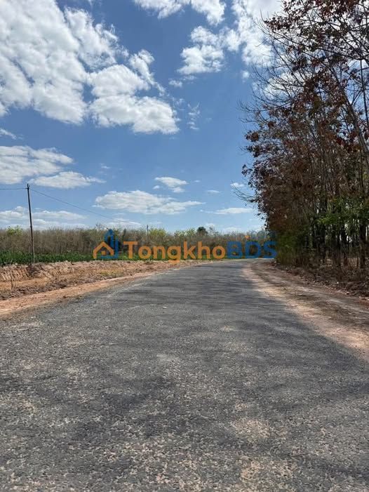 Đất Phước Vinh, Châu Thành 1000m² - Giá 190 Triệu, Sẵn Sàng Xây Nhà